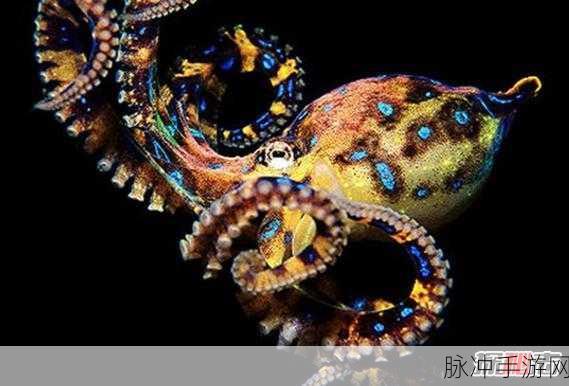 探秘章鱼盛宴，最新版本下载，开启独特水下冒险之旅