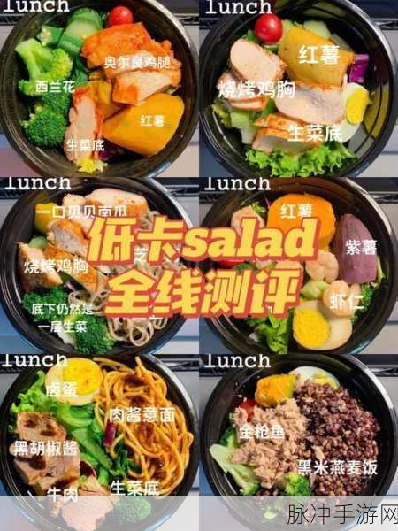 Salad Hunt沙拉狩猎手游，解锁趣味性休闲新体验