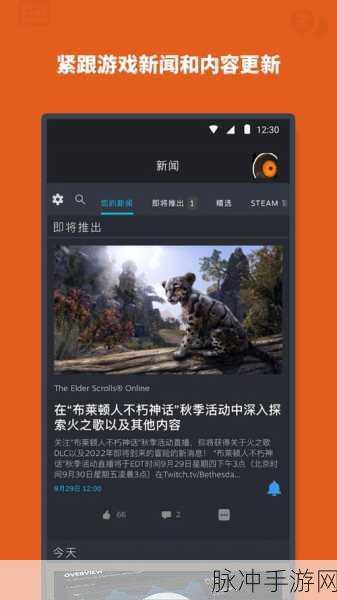 探索 Steam 手机版分身之法 畅玩手游无极限