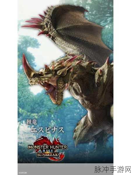 Xbox 怪物猎人曙光与 NS 联机之谜