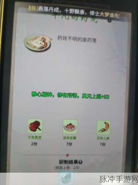 一念逍遥百炼成仙第三轮药方全解析