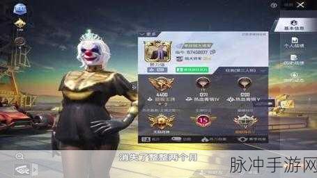国际和平精英下载，解锁极致吃鸡体验的竞技冒险之旅