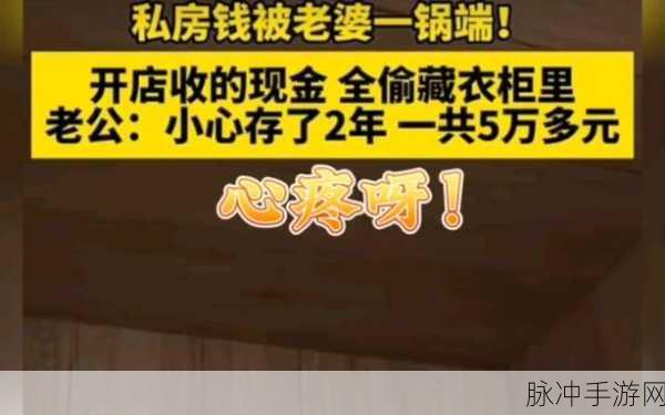 揭秘找到老婆的私房钱，真人版安卓下载攻略与深度解析