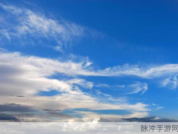 飞天大叔安卓版下载，探索无限天空的飞行冒险之旅