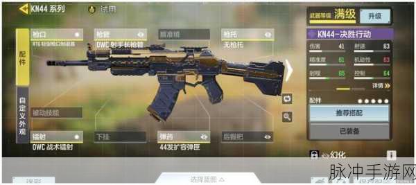 使命召唤手游，突击步枪王者争霸