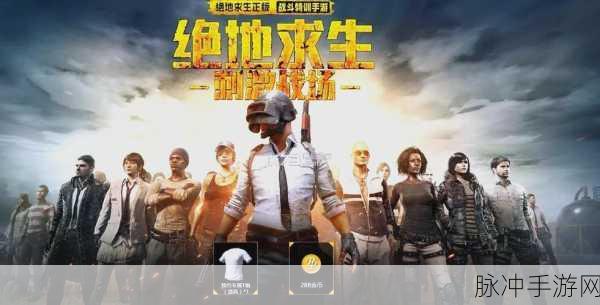 绝地求生国际服新时代下载，重温经典吃鸡游戏的极致魅力