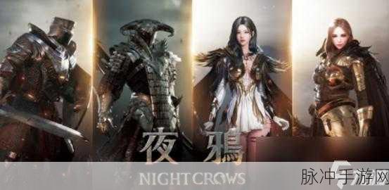 夜鸦手游下载，深入冒险战斗世界的终极指南