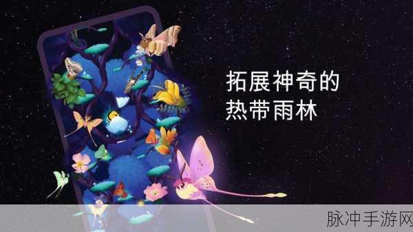 彩翼之星夜安卓版下载，探索画质清晰唯美的休闲益智之旅