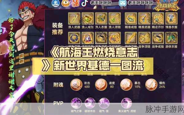 航海王燃烧意志，新世界乔巴技能全解析