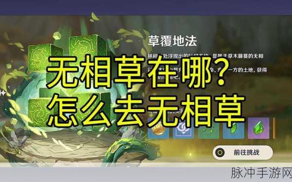 原神，精准探寻无相之草位置，攻略秘籍大公开