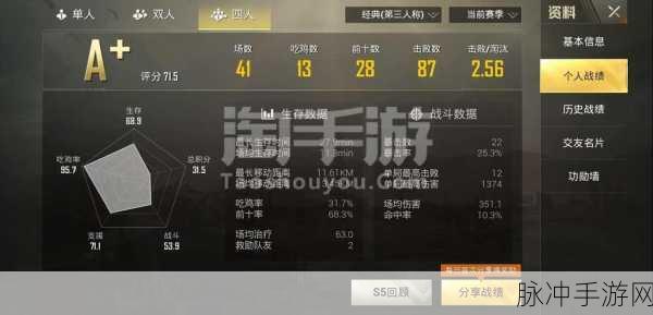 手游战场称霸秘籍，全方位攻略与精细数据解析