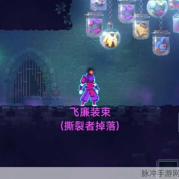 重生细胞，无暇王后装束获取秘籍大公开