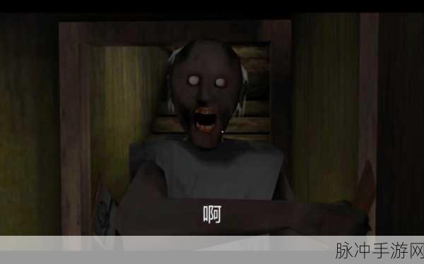 恐怖老奶奶2破解版无敌下载，探索极致惊悚的冒险之旅