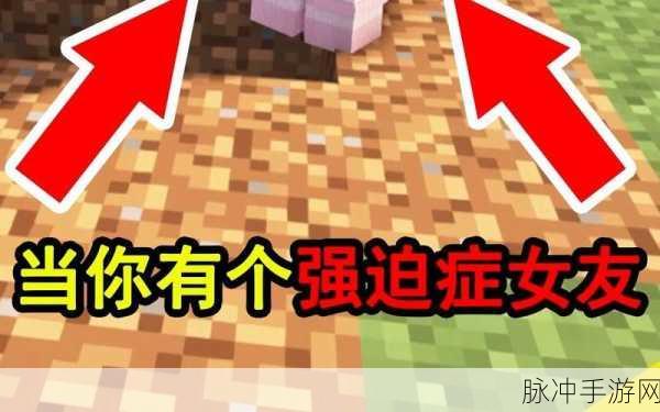 我的世界，强迫症玩家的极致挑战