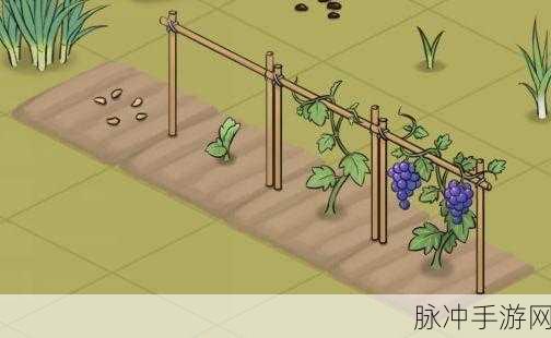 爷爷的小农院中文版下载，汉化田园模拟游戏的种植乐趣全解析