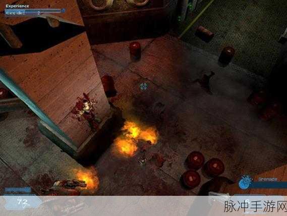 阴影地带之幸存者下载，重温经典FPS游戏的极致体验