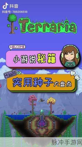 泰拉瑞亚手套版本全解析 登顶游戏巅峰秘籍