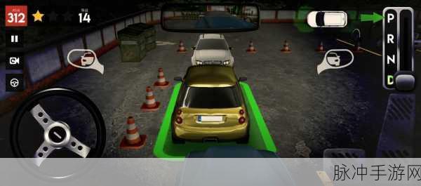 驾校3D停车场游戏下载，解锁趣味休闲闯关新体验