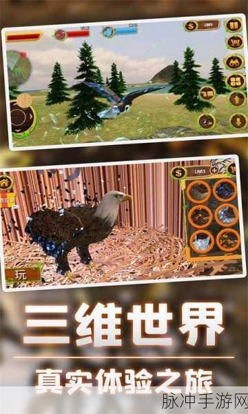 翱翔天际，飞行天空模拟器游戏下载全攻略
