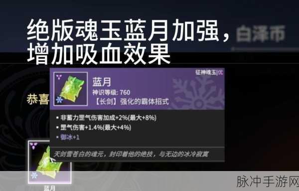 永劫无间手游近战魂玉的全面解析与选择指南