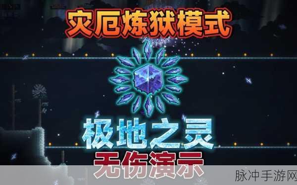 泰拉瑞亚灾厄中斯塔提斯忍者腰带全解析