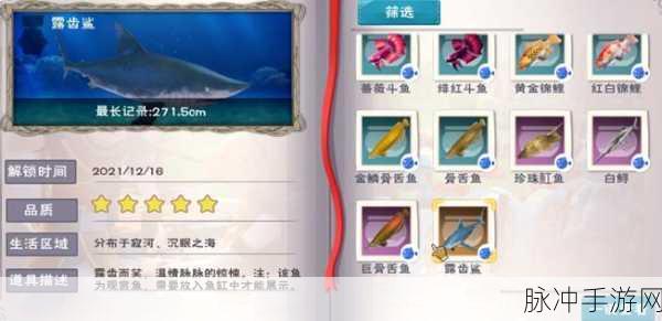 创造与魔法，探寻鲨鱼捕捉的神秘地点