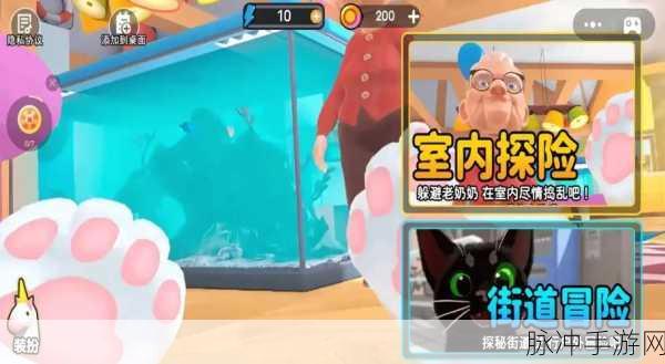 可爱猫咪模拟器2018，萌宠养成新体验，手机游戏新宠儿