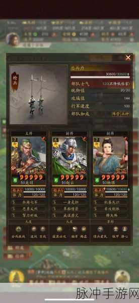 三国志战略版华佗玩法全解析