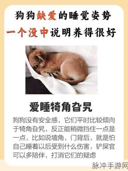 温馨治愈系小狗养成游戏，萌宠相伴，快乐无限下载指南