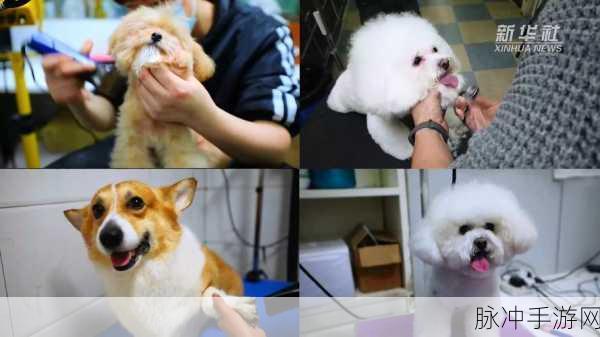 温馨治愈系小狗养成游戏，萌宠相伴，快乐无限下载指南
