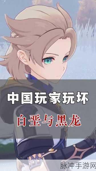 原神白垩与黑龙更新时间大揭秘及深度攻略