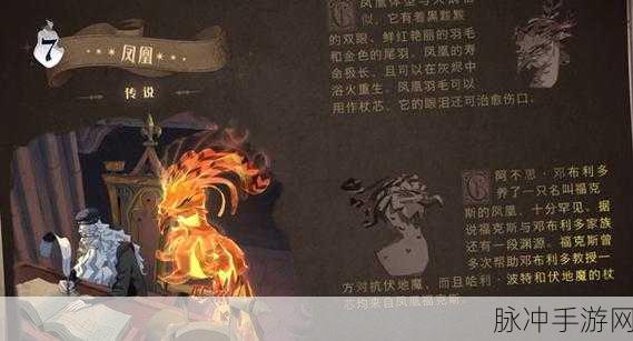 哈利波特魔法觉醒，金卡抽取概率与保底次数全解析