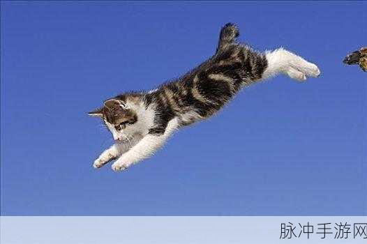 会飞的猫下载，Q萌小喵跳跃主题的极致动作休闲体验