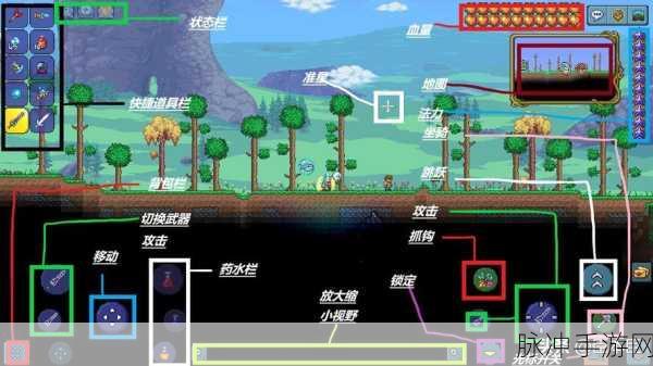 泰拉瑞亚，游戏秘籍与新手未知的神秘角落