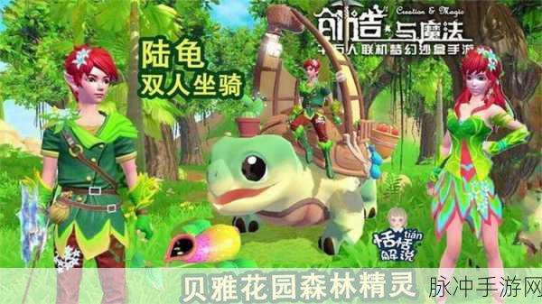 创造与魔法，龟类宠物捕获秘籍大公开