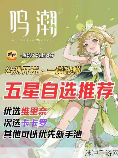 鸣潮补偿五星自选 明智之选成就巅峰之旅