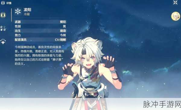 鸣潮补偿五星自选 明智之选成就巅峰之旅