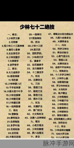 烟雨江湖少林提纵术，学满与否的深度剖析