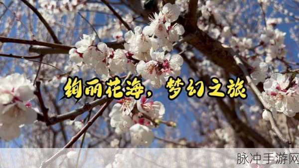 空中花园Florest，打造你的梦幻花海之旅游戏下载攻略