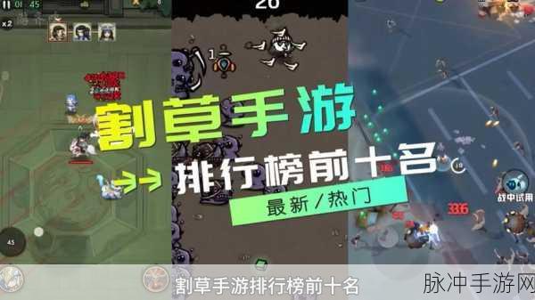 死灵法师内购版，畅享割草乐趣的终极休闲手游攻略