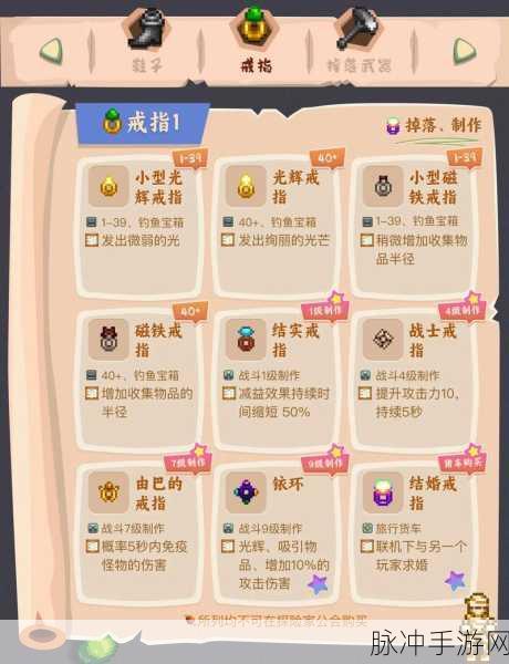星露谷物语沙漠通行秘籍大揭秘