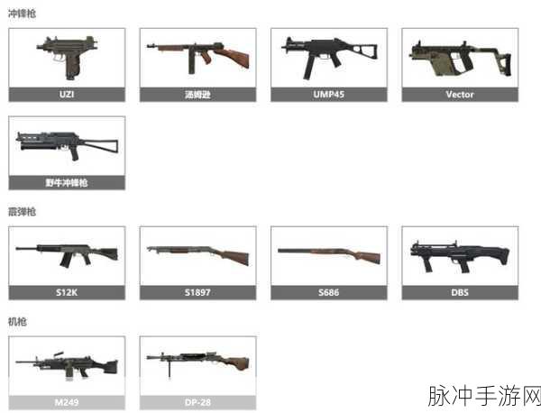 和平精英，射手步枪巅峰对决，谁是最强王者？