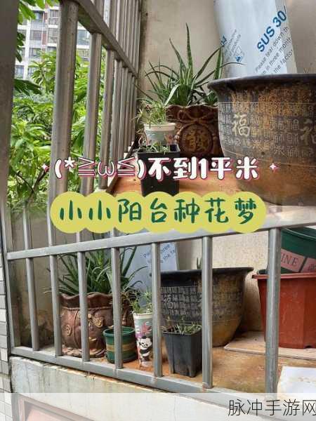 疯狂向日葵安卓版下载，极简风格的闯关小游戏全攻略