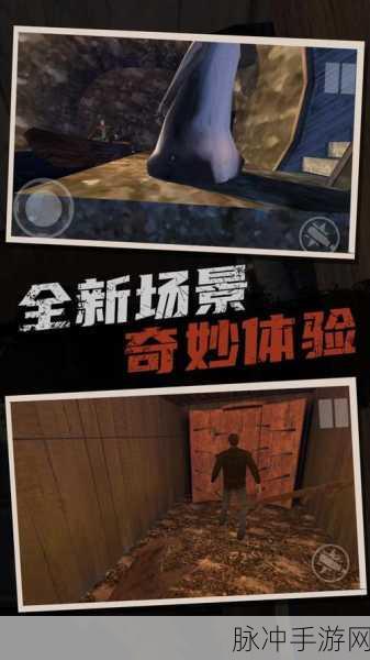 溜出去恐怖老奶奶中文版下载正版，一场心跳加速的恐怖冒险逃生之旅