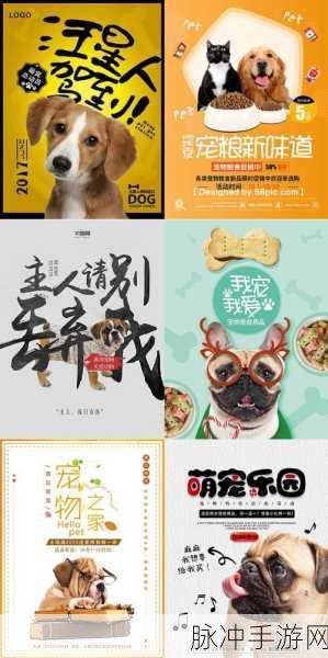 萌宠养成新体验，驯服一只流浪猫游戏下载全攻略