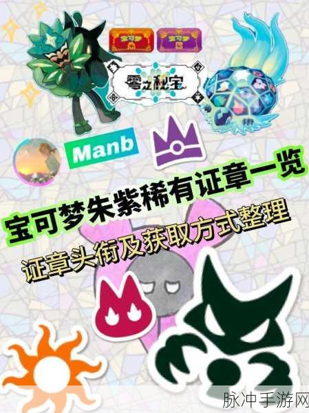 宝可梦大集结，深入解析徽章的作用与获取之道
