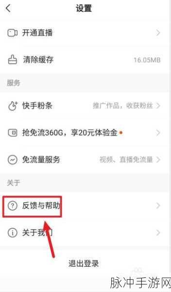 快手极速版频繁评论的后果及手游攻略大揭秘