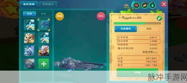 创造与魔法中龟壳的神秘作用全解析