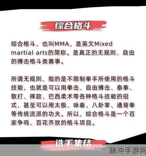 战士之旅拳击对战,拳拳到肉的休闲闯关盛宴