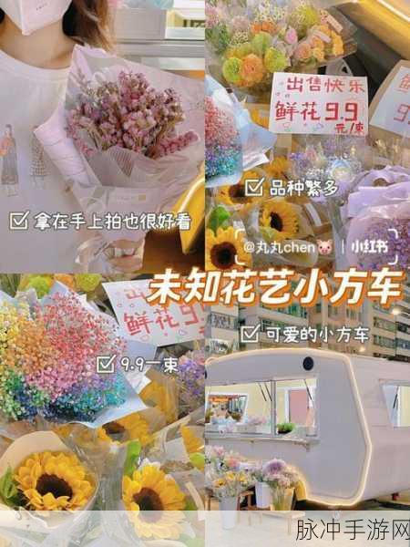 疯狂购物Shopping Madness手游攻略，解锁休闲益智新乐趣